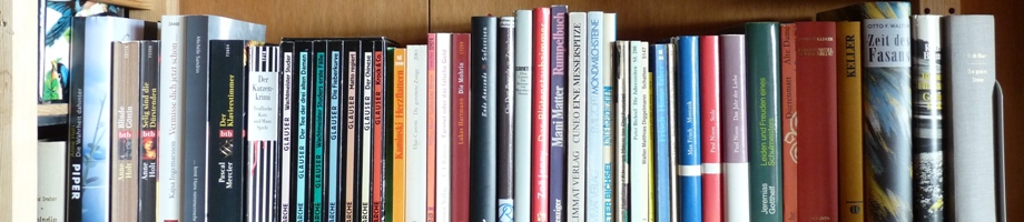 Bibliothek im Balkonzimmer