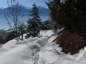 Winterspaziergang bei Mollens