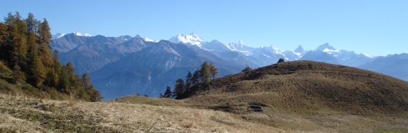 Alpweide oberhalb von Crans-Montana mit herrlichem Blick auf die Alpen